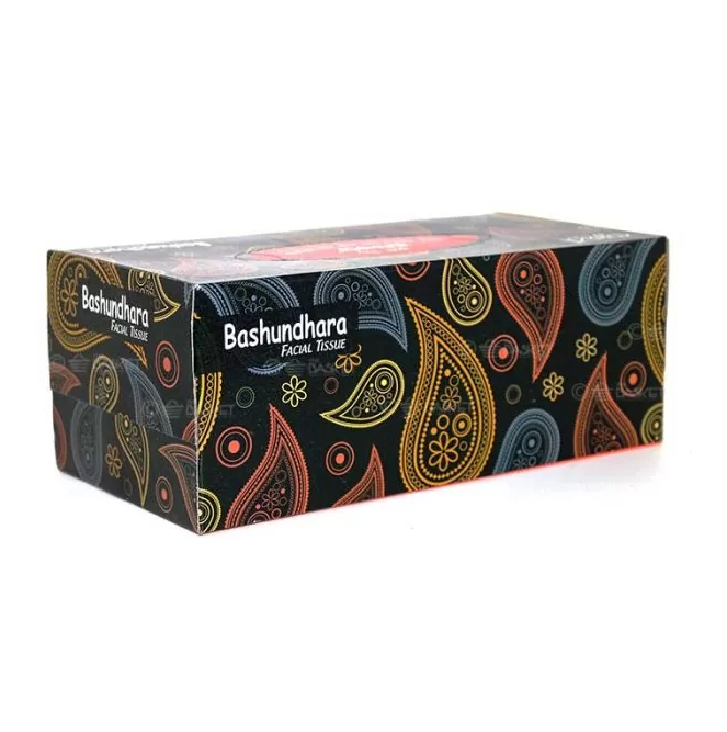 Bashundhara Facial Tissue box 120x2ply